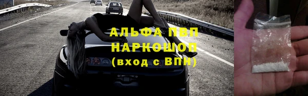 прущие грибы Михайлов
