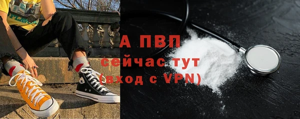 ECSTASY Медногорск